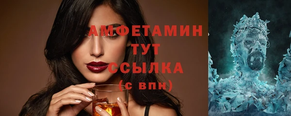 хмурый Белокуриха