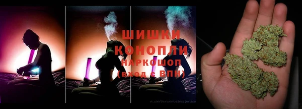 хмурый Белокуриха