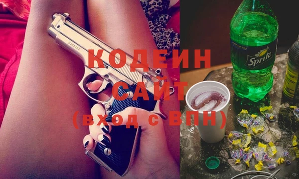 хмурый Белокуриха