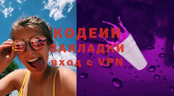 хмурый Белокуриха
