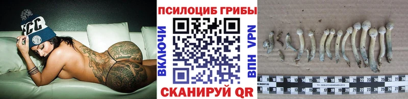 Галлюциногенные грибы Magic Shrooms  наркошоп  Малмыж 